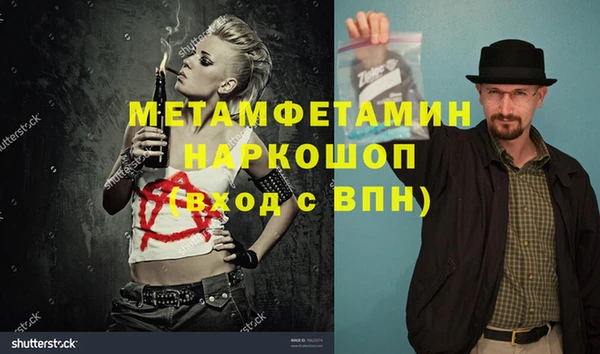 прущие грибы Семикаракорск