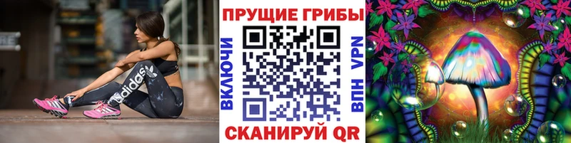 Галлюциногенные грибы Cubensis  mega маркетплейс  Кувшиново 