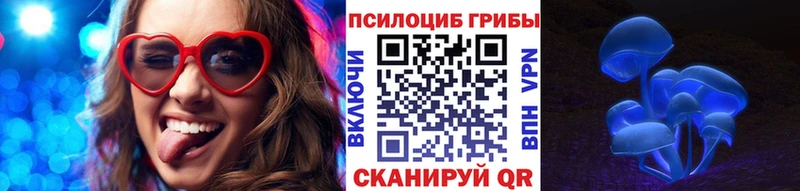Псилоцибиновые грибы мицелий Кувшиново