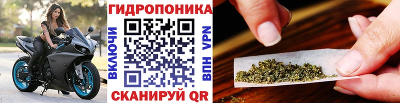 kraken ссылки  Кувшиново  Шишки марихуана LSD WEED 